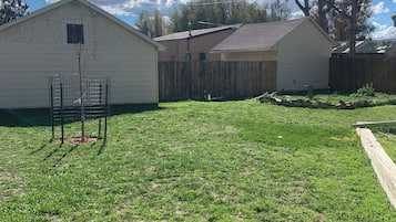 A grassy backyard with a wooden fence, a shed, and a utility pole.