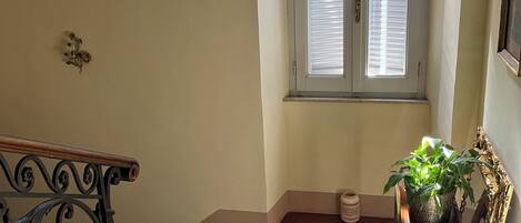 Una escalera con barandilla, una ventana con persianas, una planta en maceta y un espejo decorativo.