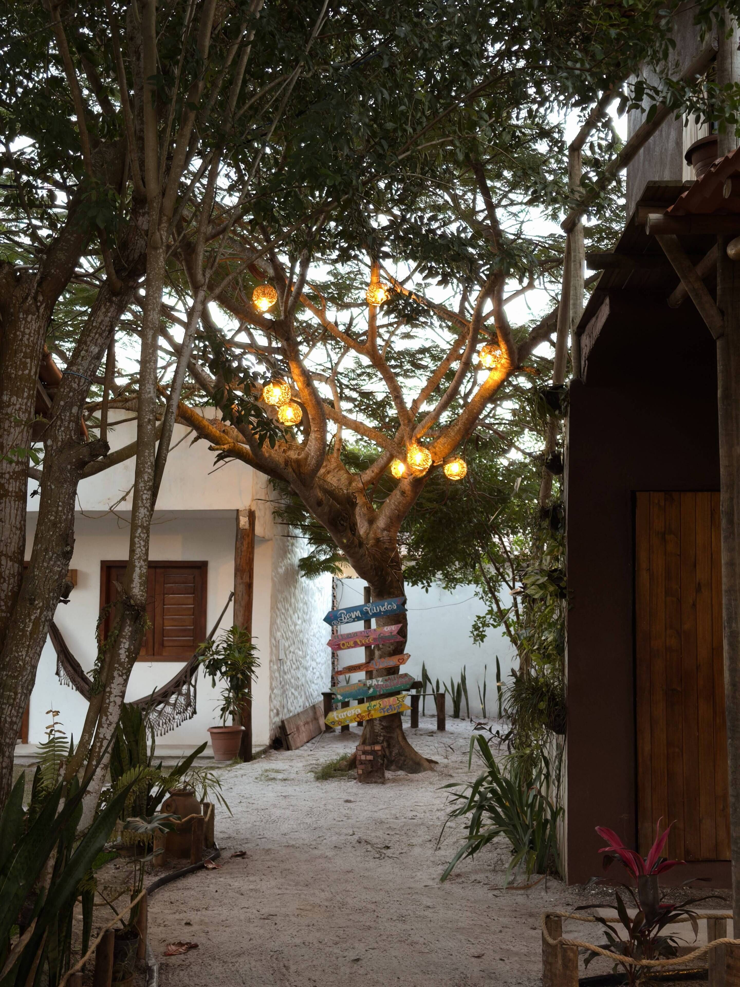 Un arbre décoré de guirlandes lumineuses et surmonté d’enseignes directionnelles, situé dans une cour.