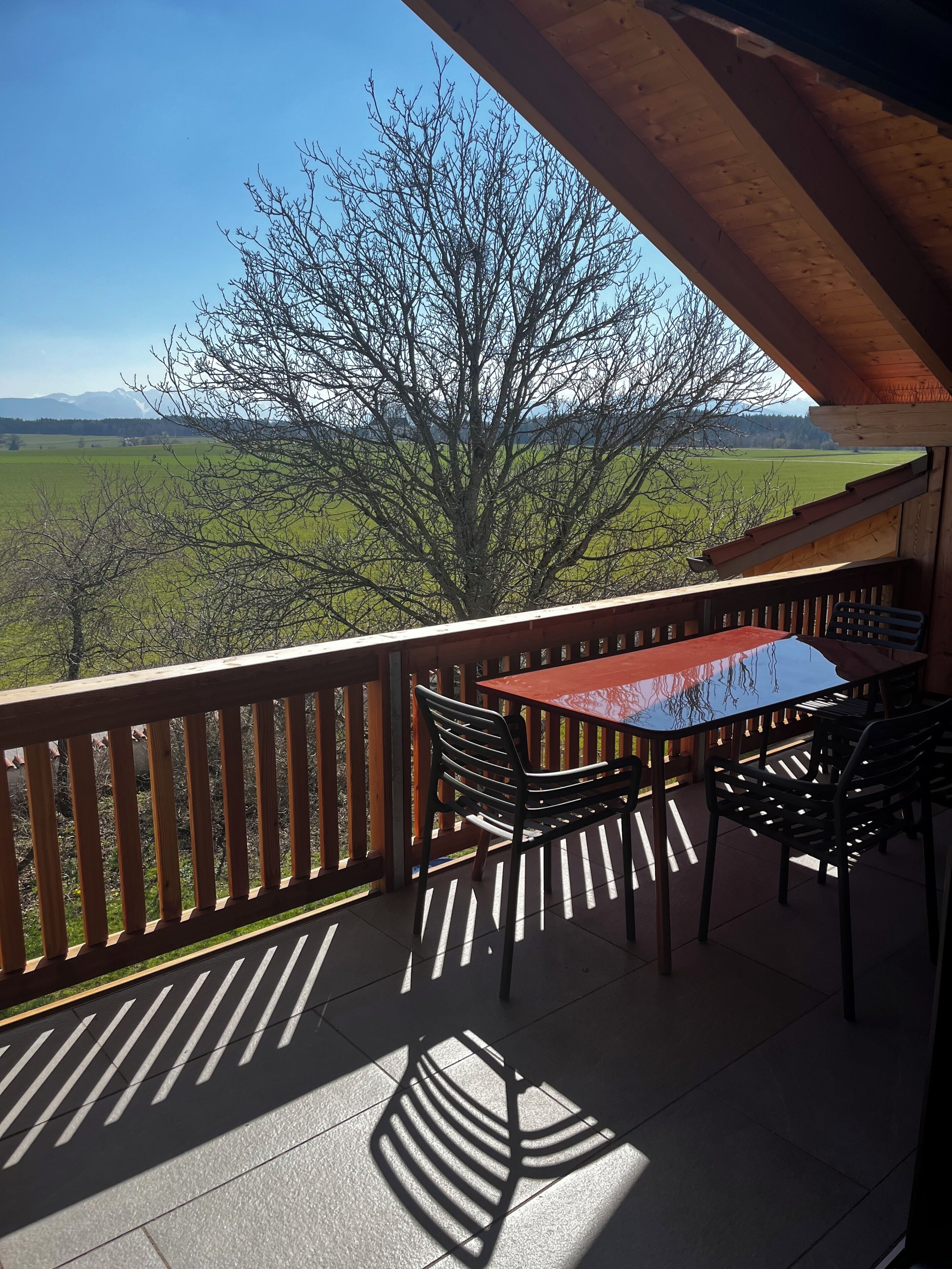 A balcony with a table and chairs, overlooking a green landscape and a tree.