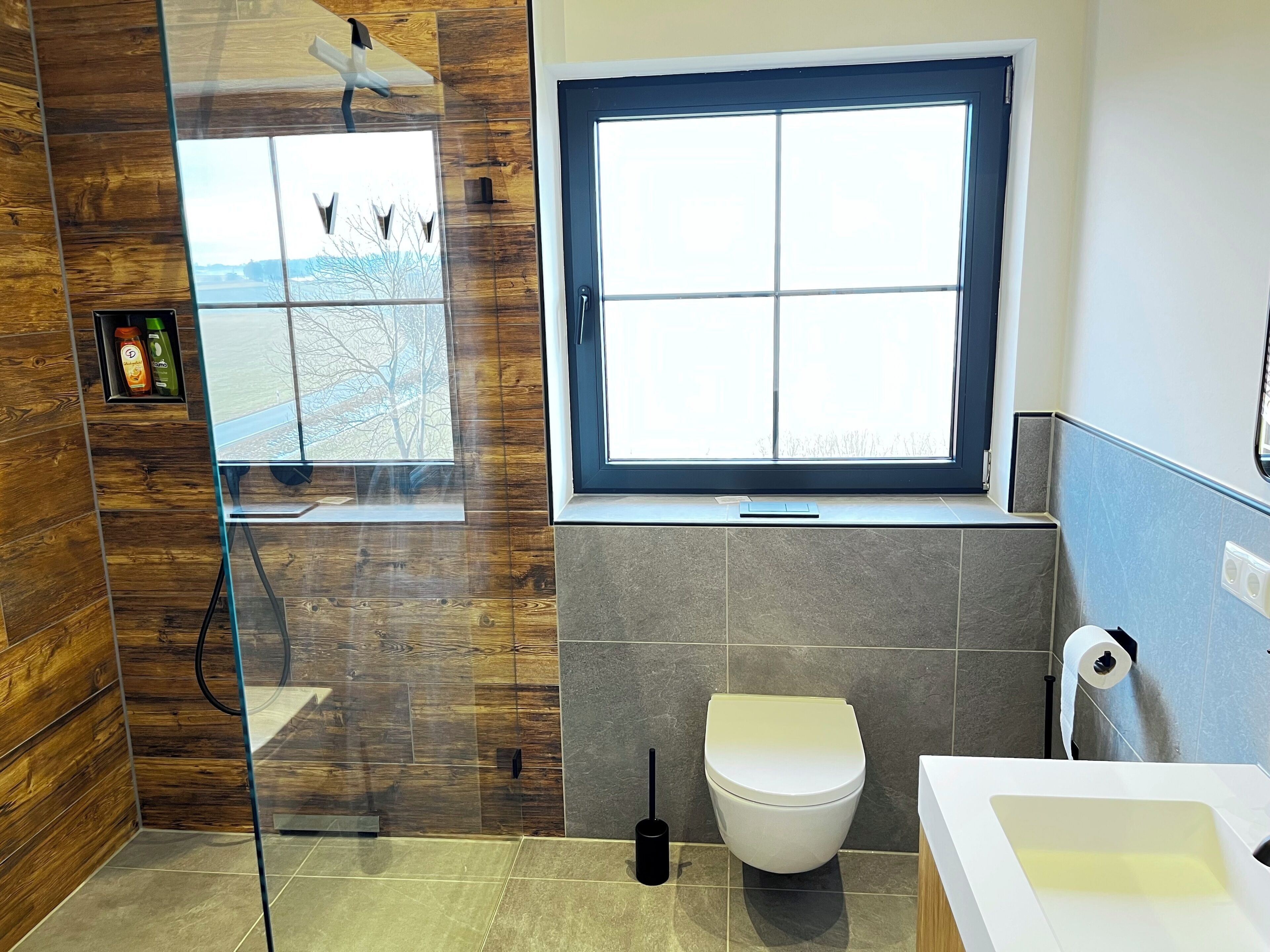 A modern bathroom with a glass shower enclosure, a toilet, and a bathtub.