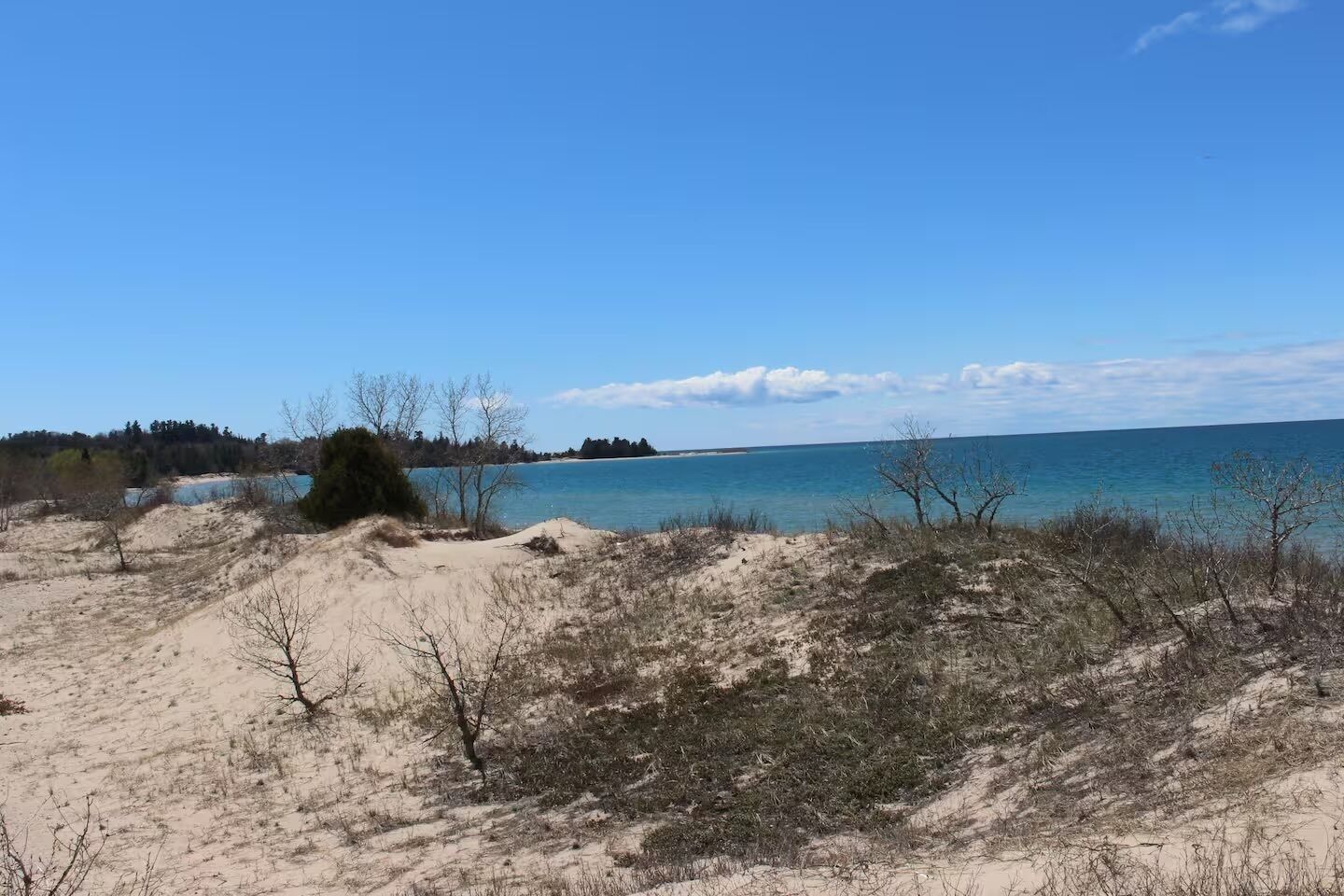 A beach with sand dunes and sparse vegetation.