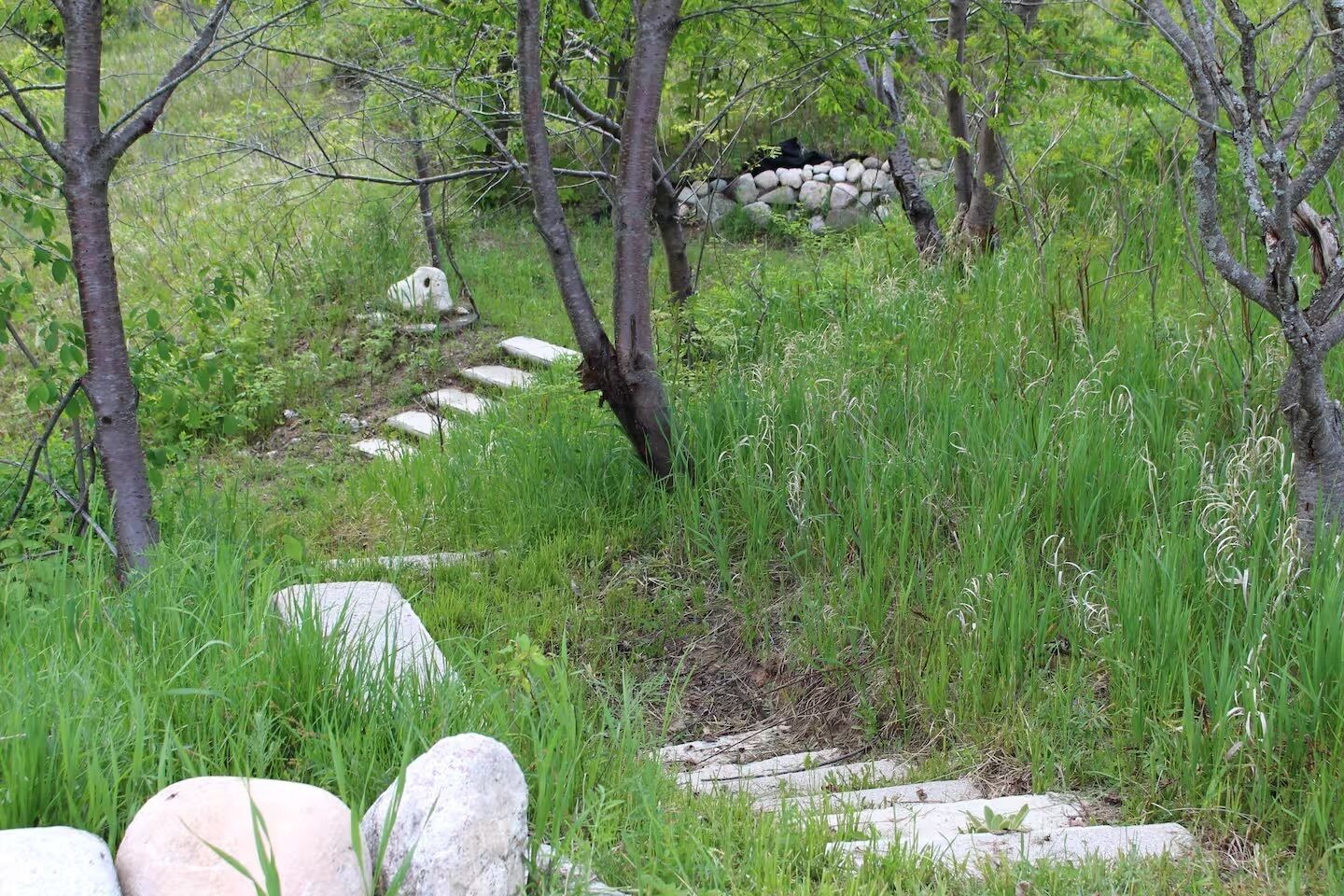 A natural outdoor area with a stone pathway, trees, and grass.