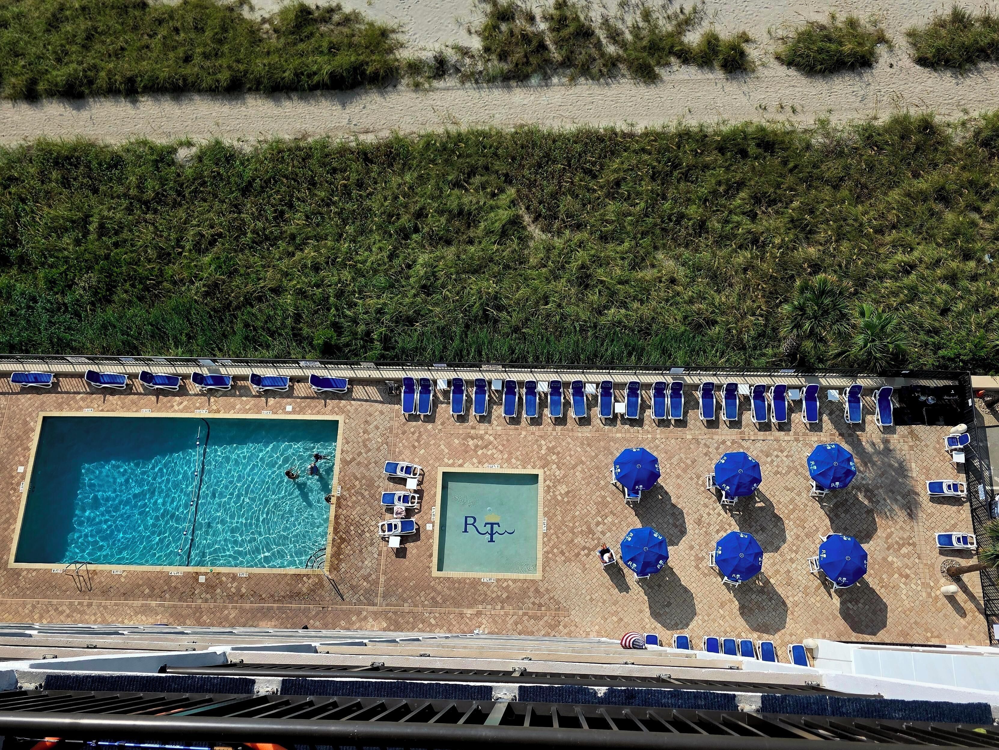 A rooftop pool area with multiple sun loungers and umbrellas, surrounded by greenery.
