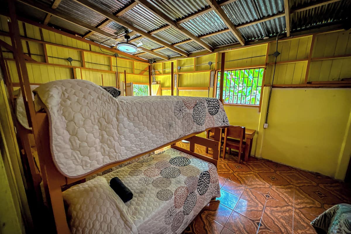 Dormitorio condiviso Basic, patio | Wi-Fi gratuito