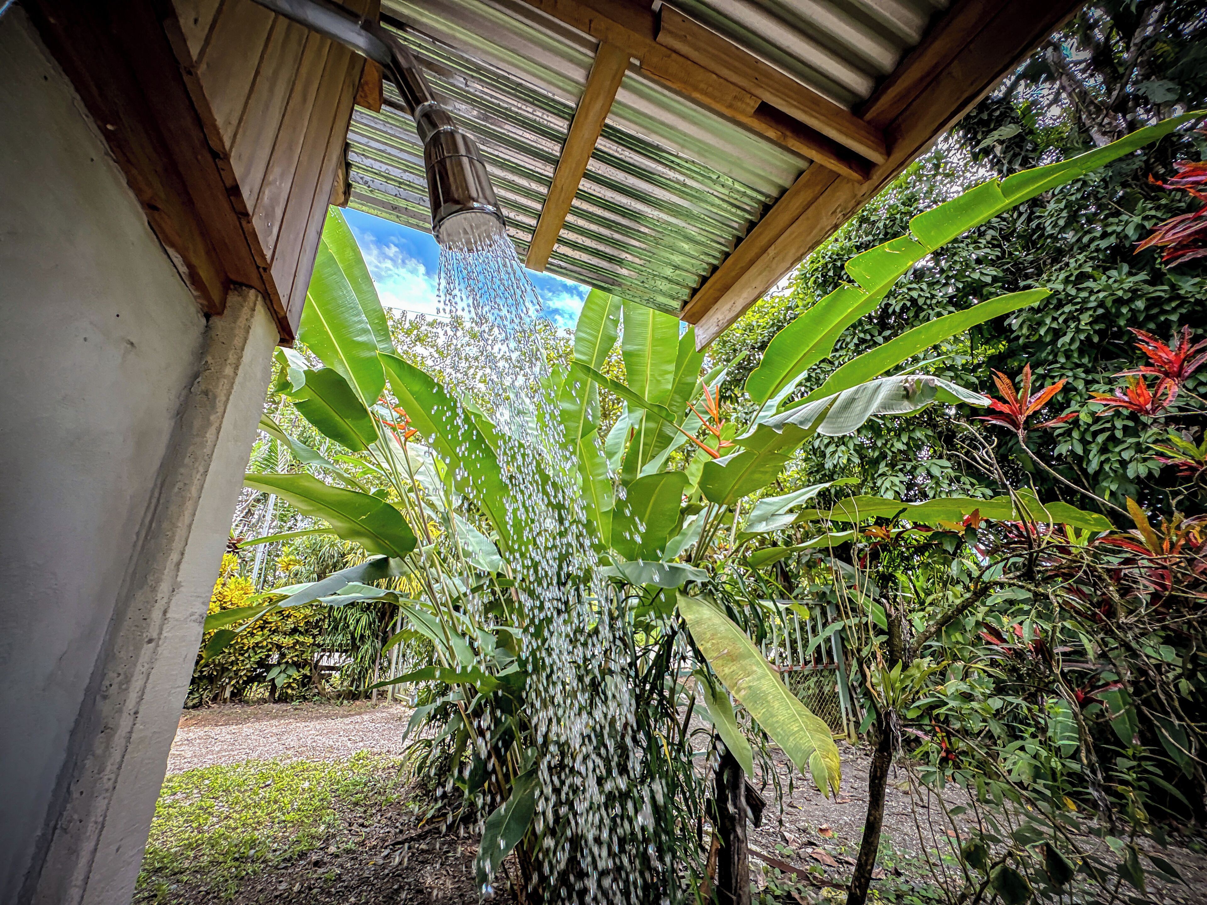 A covered outdoor area with a water feature, surrounded by lush greenery and a variety of plants.