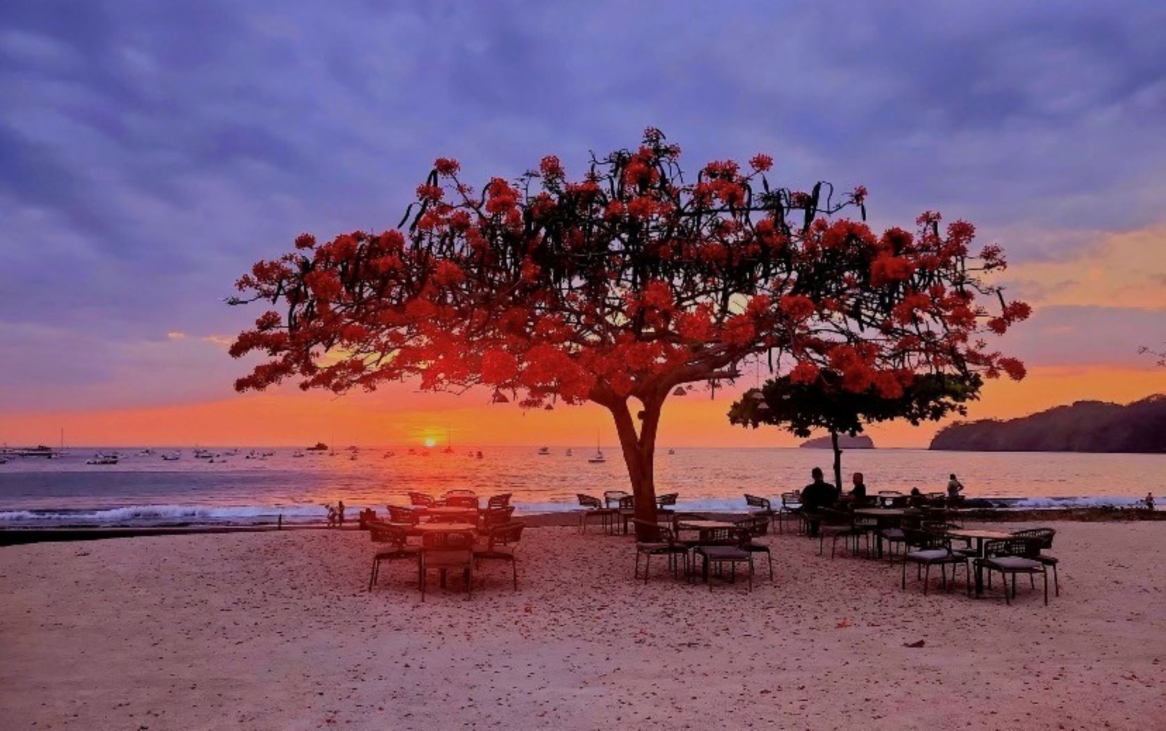 Un restaurant situé en bord de mer, avec une terrasse et une vue sur le coucher de soleil sur l’océan.