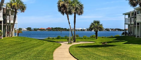 A pathway leading to a body of water with palm trees and a building with balconies.