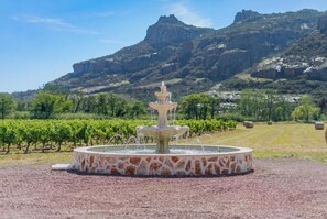 Ein runder Steinfountain mit Wasserspeiern in einer angelegten Anlage mit Weinbergen und einem Berg im Hintergrund.