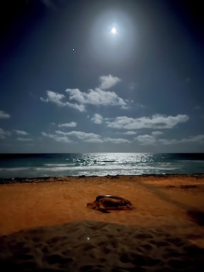 海滩