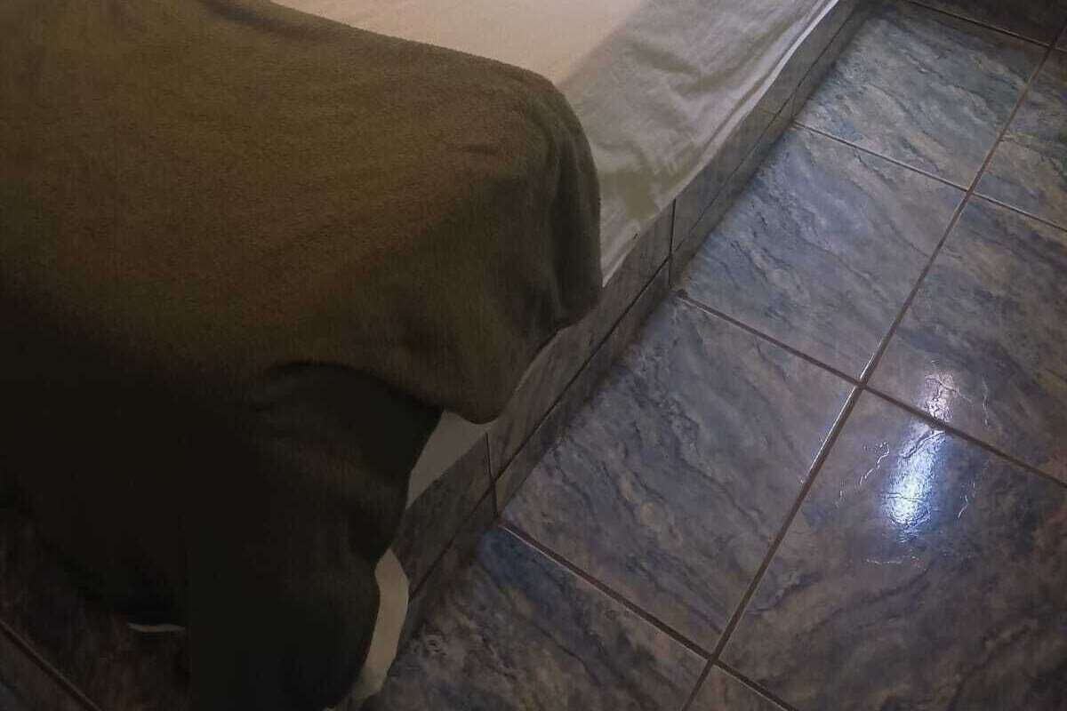 基本雙床房