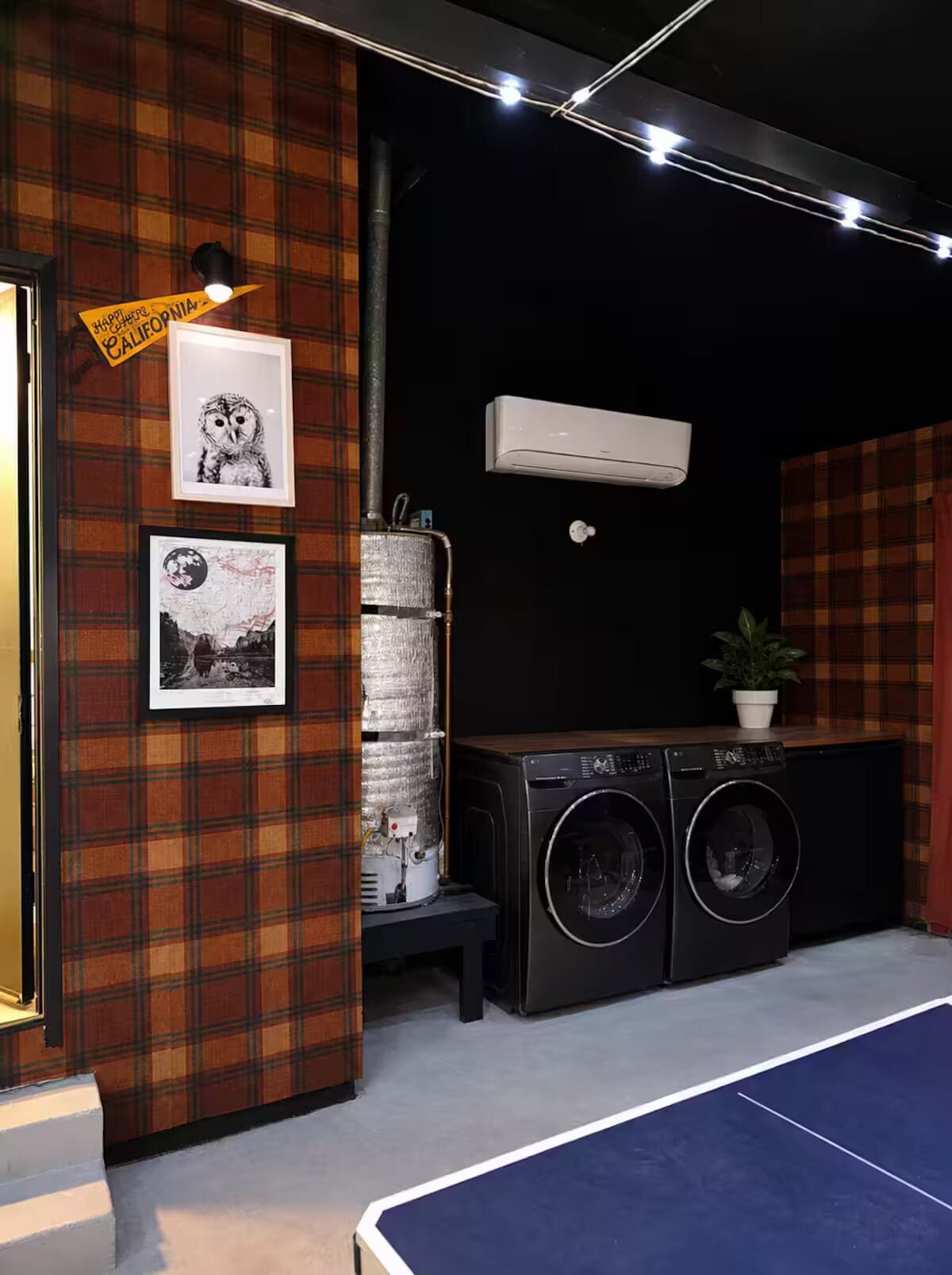 Une pièce avec un mur à motifs écossais, un lave-linge, une plante en pot et un tableau représentant une chouette, encadré.
