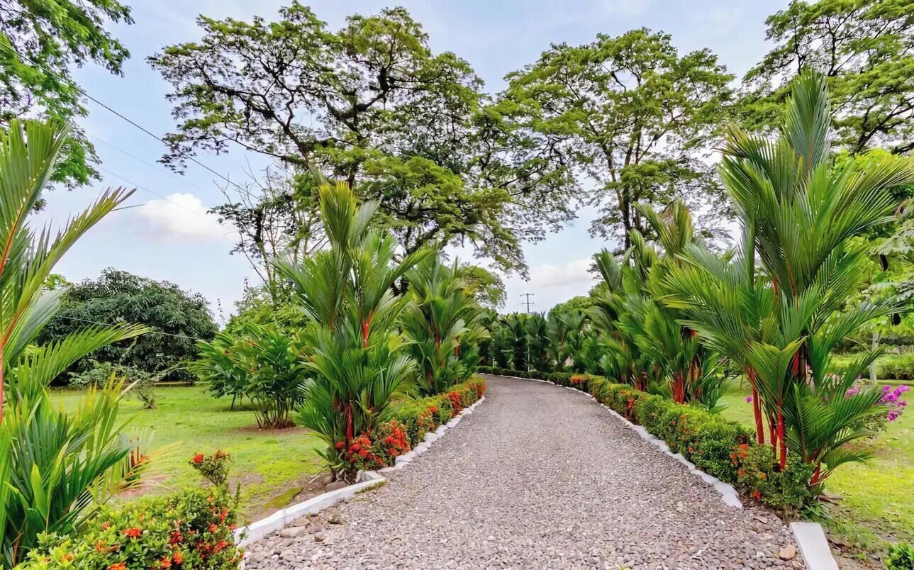 A gravel pathway flanked by lush greenery and trees.