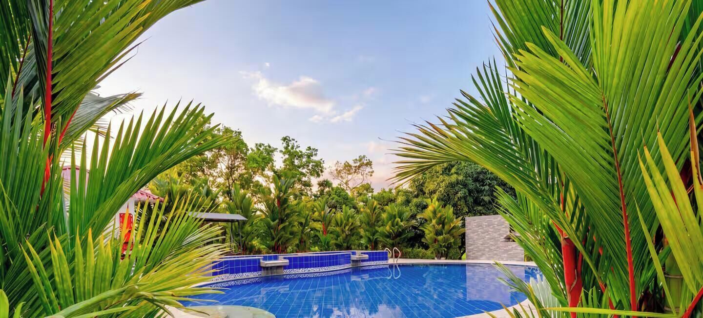 Una piscina rodeada de abundante vegetación y un cielo despejado.