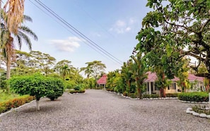 A gravel driveway leading to a building with a red roof, surrounded by lush greenery and palm trees.