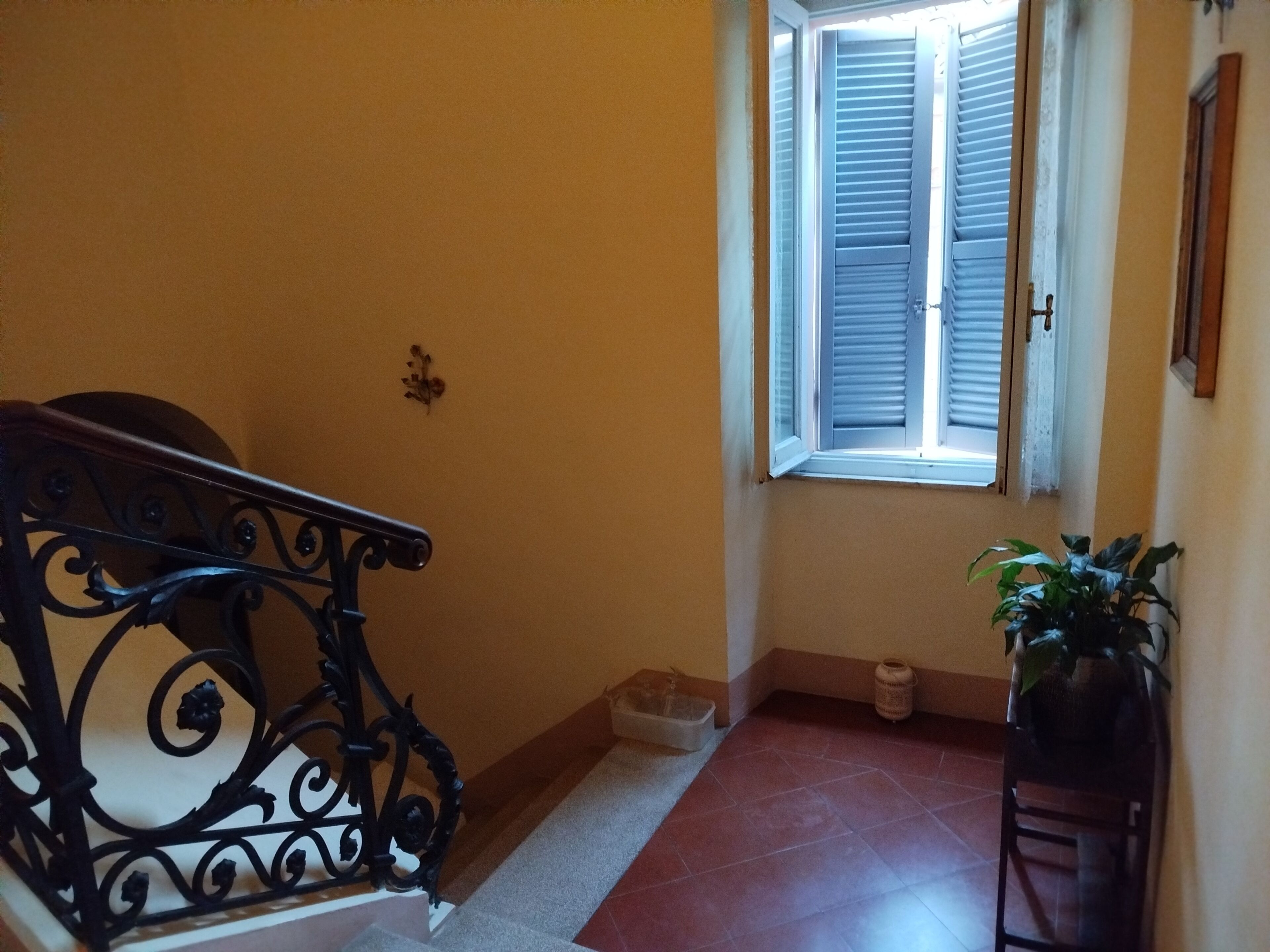 A staircase with ornate black railings, a window with closed shutters, and a potted plant on the right.
