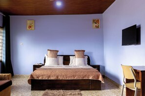 Desk, iron/ironing board (on request), free WiFi - ANIYAK GUEST HOUSE (Takoradi)