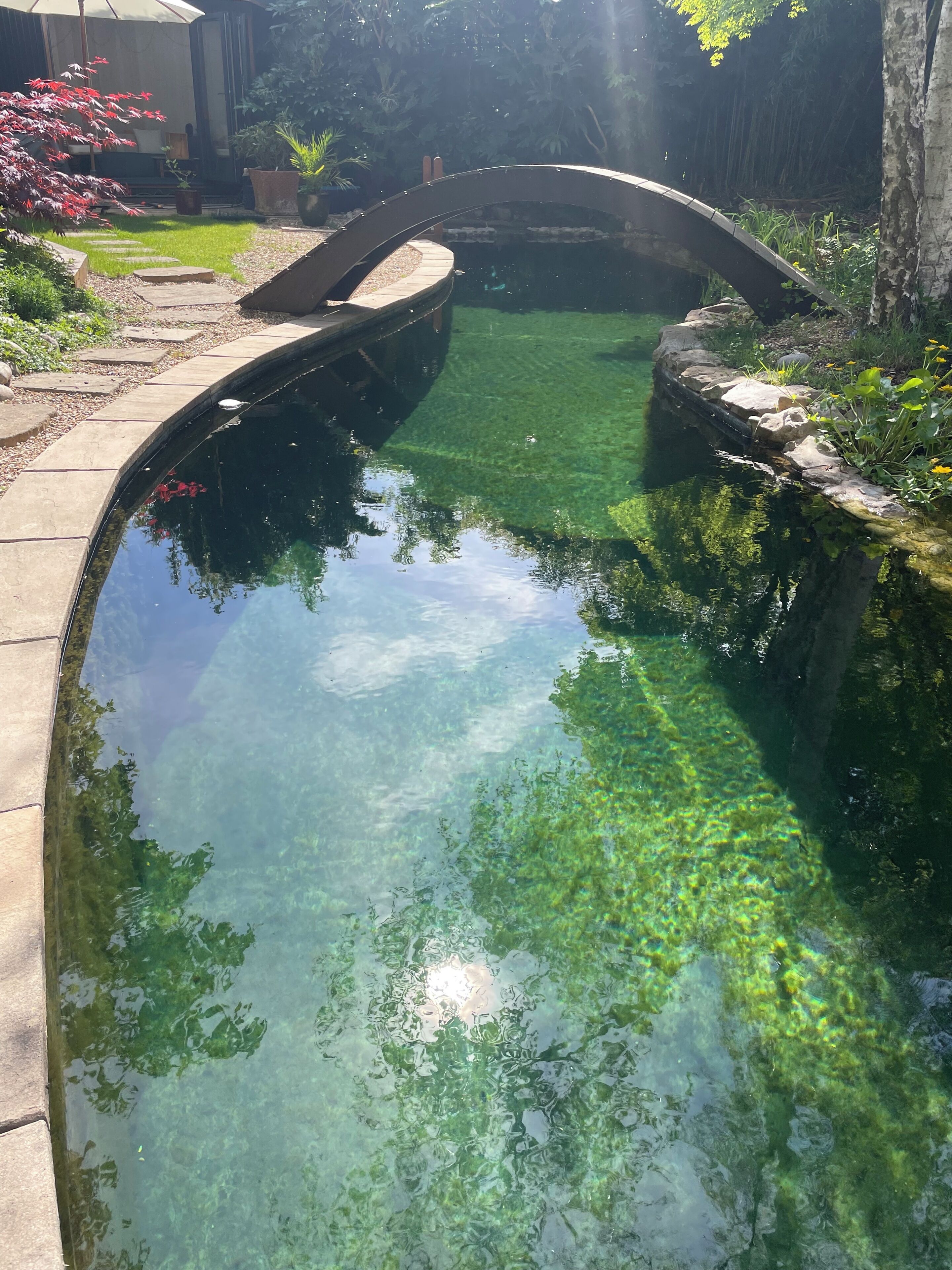 A clear swimming pool with a curved bridge, surrounded by greenery and a stone border.