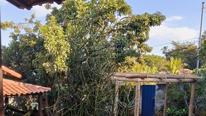 Un espace extérieur abrité, doté d’un patio carrelé, d’une pergola en bois et d’un portail bleu.