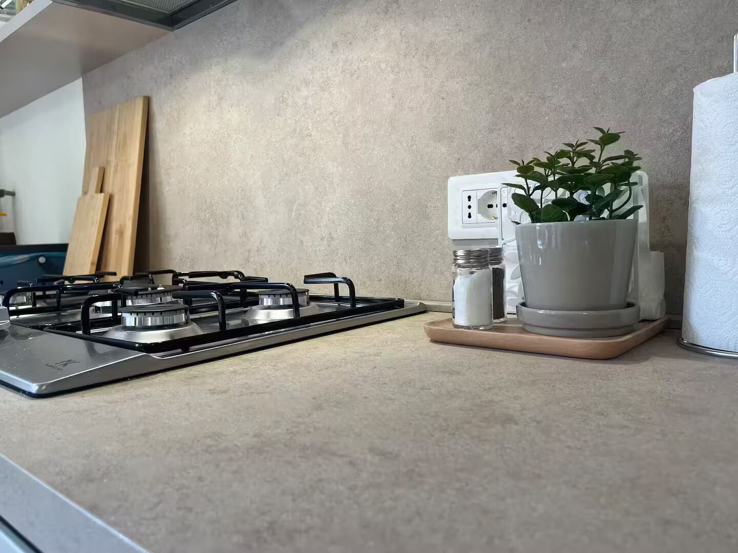 Una cocina con estufa a gas, una planta en maceta y un enchufe eléctrico blanco.