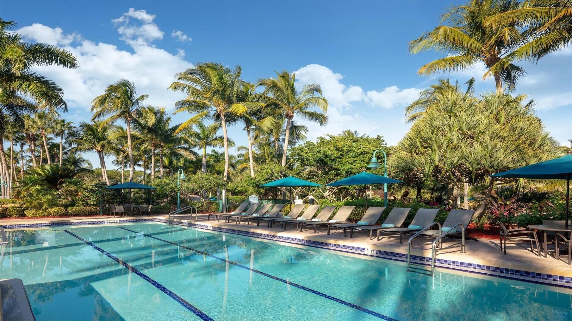 Une piscine entourée de palmiers, avec des chaises longues et des parasols.