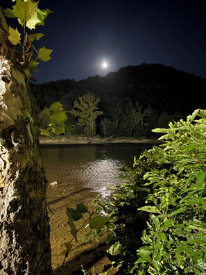 Vista nocturna de un lago con un árbol en primer plano y una montaña al fondo.