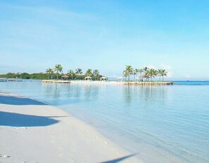 A beach with clear water, palm trees, and a structure on the sand.
