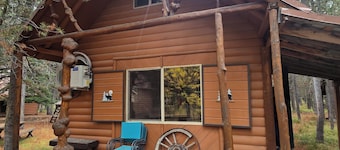 Rustic guest cabin in the Pines near Golf Course and Big Springs Sleeps 6