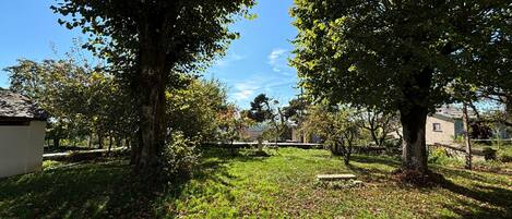 A grassy outdoor area with trees and a clear sky.