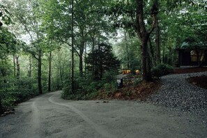 A forested area with a gravel path leading to a cabin. - Azalea Ridge Retreat - Cozy family cabin near Dahlonega (Dahlonega)