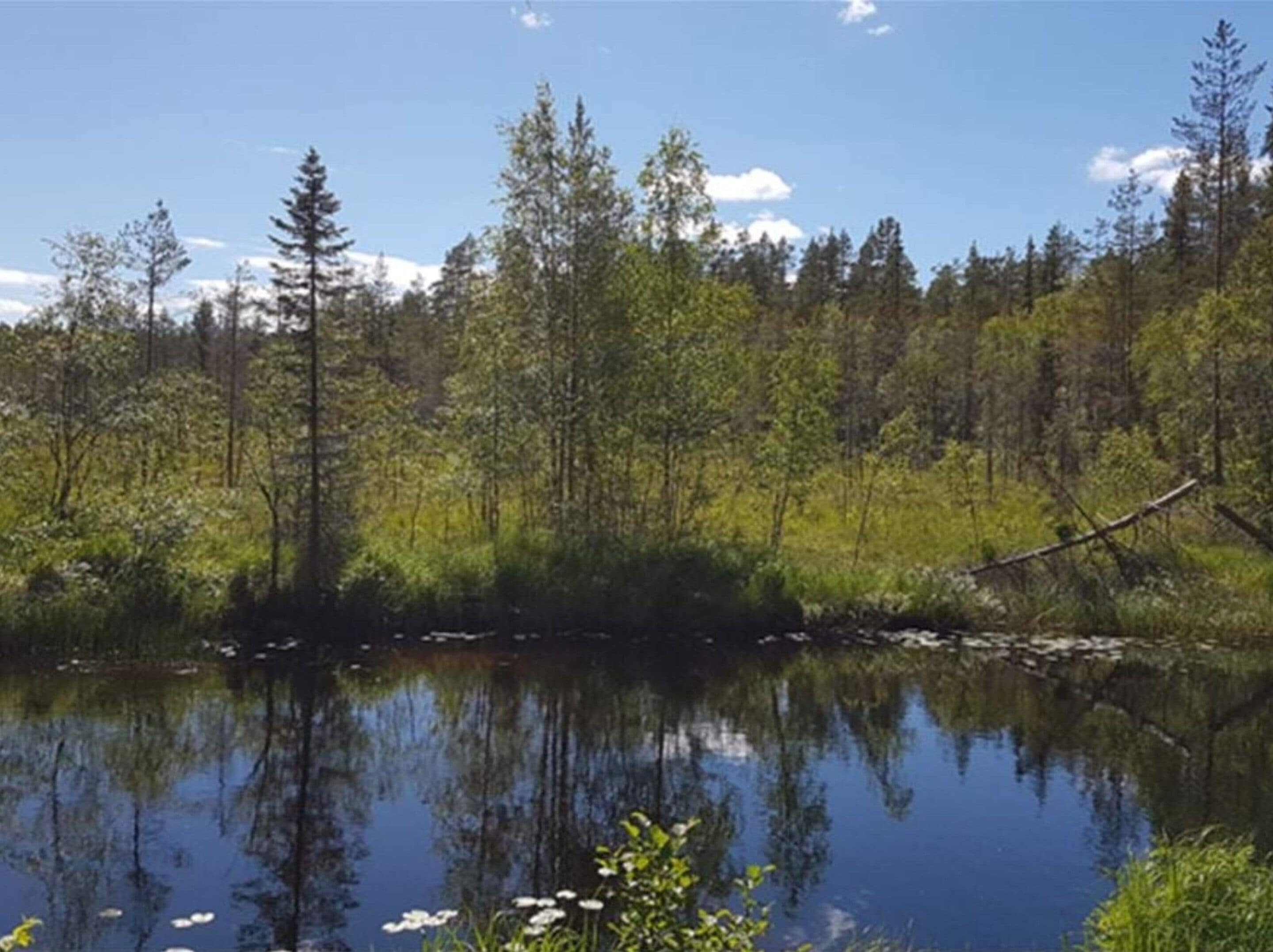 Eksteriør