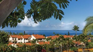 A coastal resort with multiple buildings, palm trees, and a view of the ocean.
