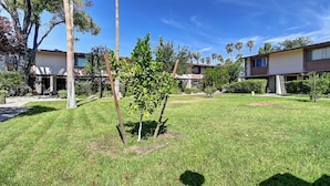 A residential area with multiple two-story houses, a well-maintained lawn, and a variety of trees.
