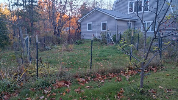 Un quartier résidentiel avec une maison, une cour clôturée et un feuillage d’automne.