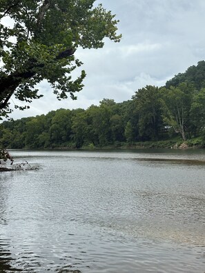 A calm lake surrounded by dense forest.