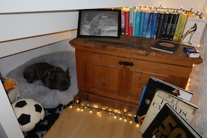 A cozy corner with a dog resting on a fluffy bed, surrounded by books and a framed picture on a wooden cabinet.