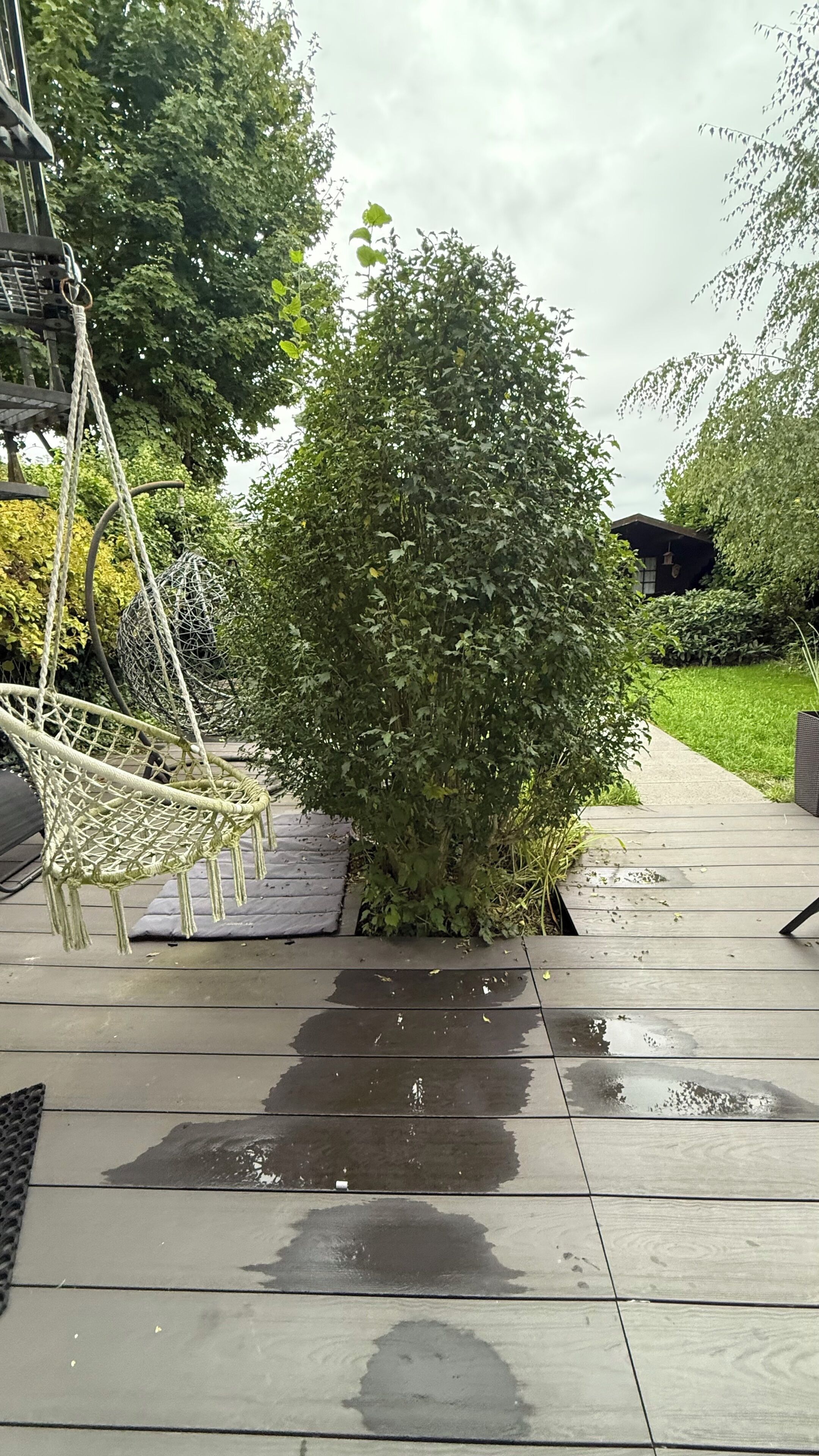 Eine Holzterrasse mit einem kleinen Busch, einer Schaukel und einem Weg, der zu einem Haus führt.