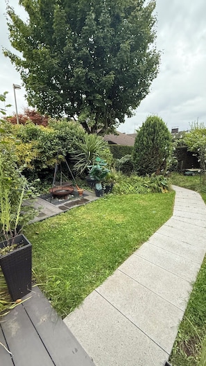 A garden with a curved pathway, various plants, and a large tree.