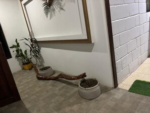 A hallway with a white wall, a framed picture, two potted plants, and a small green area.