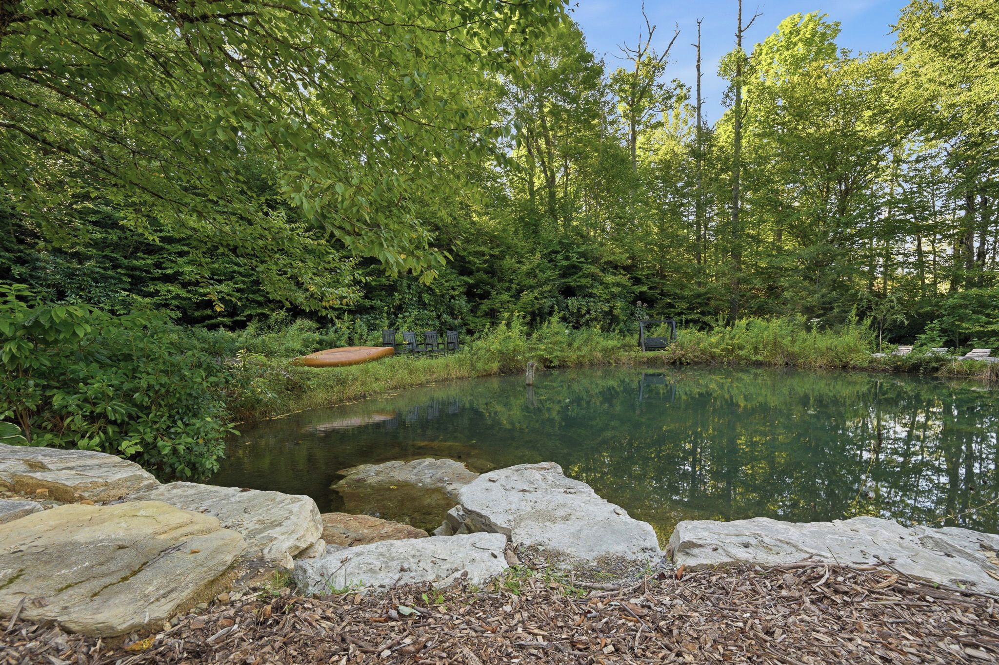 A natural pond surrounded by dense greenery and rocks.