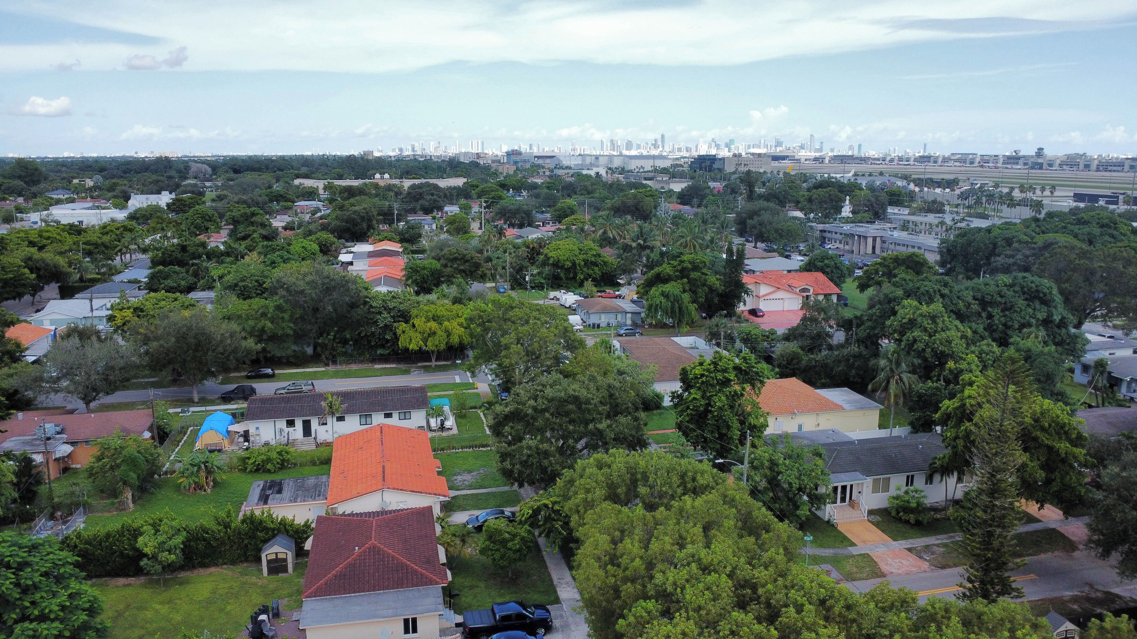 Zona residencial amb cases, arbres i un perfil urbà allunyat.