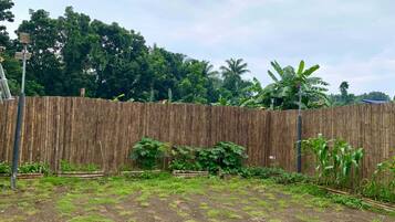 Un jardin clos, agrémenté de différentes plantes, sous un ciel dégagé.