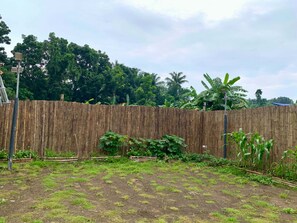 A fenced garden with various plants and a clear sky.