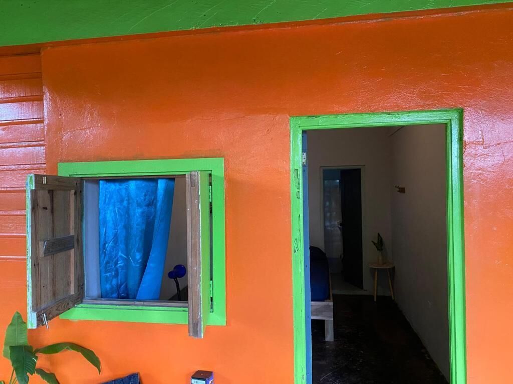 A room with a window and a door, both with green frames, and a plant on the left.