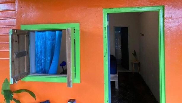 A room with a window and a door, both with green frames, and a plant on the left. - Hostel Bocas Estrella (Bocas del Toro)