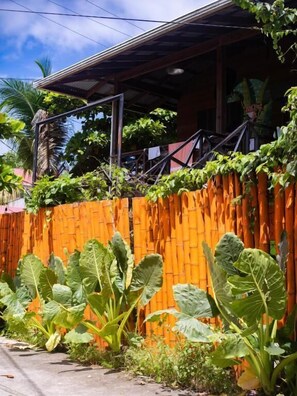 A residential area with a bamboo fence, large leafy plants, and a building with a sloped roof.