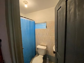 Une salle de bain avec des toilettes, un rideau de douche et une porte.