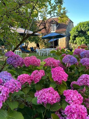 A garden with hydrangea flowers and a stone building with a tiled roof. - Gîtes de France® - French Overseas Departments and Territories (SAINT SOZY)