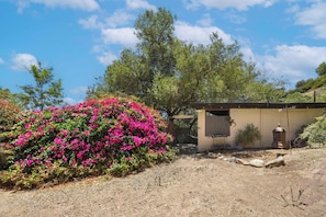 A rustic building with a sign reading 'The Cowboy Cottage' and a lush garden with vibrant pink flowers.