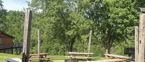 An outdoor picnic area with wooden picnic tables and benches, surrounded by trees.